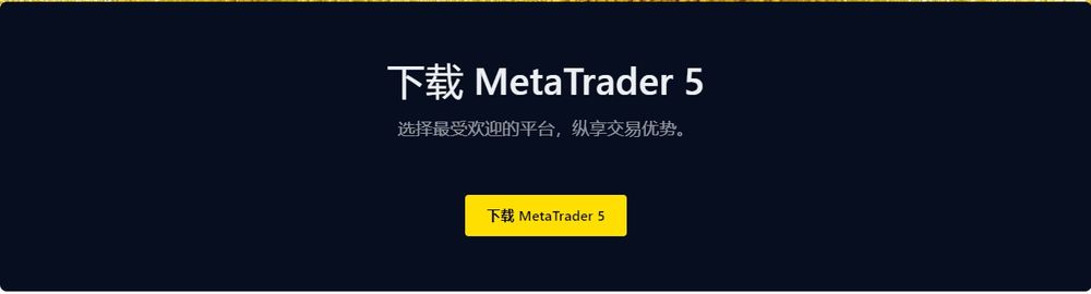 MetaTrader 5(图4)