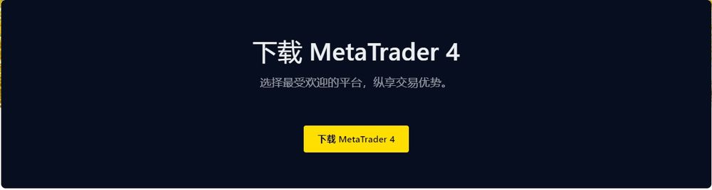 MetaTrader 4(图4) MetaTrader 4(图4)